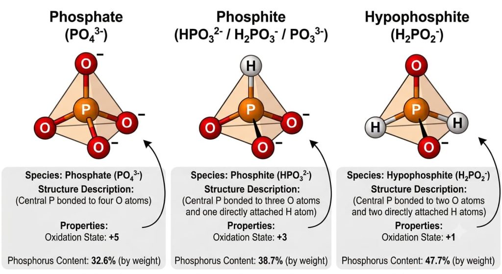 Hypophosphites in Industrial Applications A Practical Guide