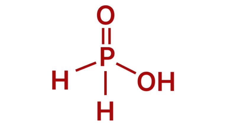 Hypophosphorous Acid